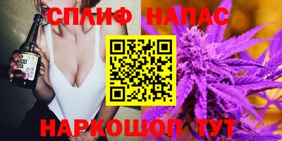 сатива Обь