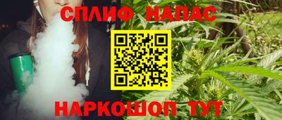 индика Нягань