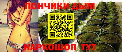 индика Нягань