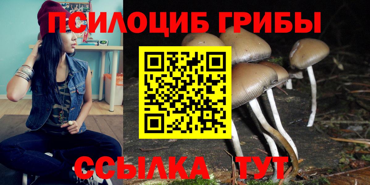 Галлюциногенные грибы ЛСД  Псилоцибиновые грибы мицелий  Вход с VPN  Сорочинск 